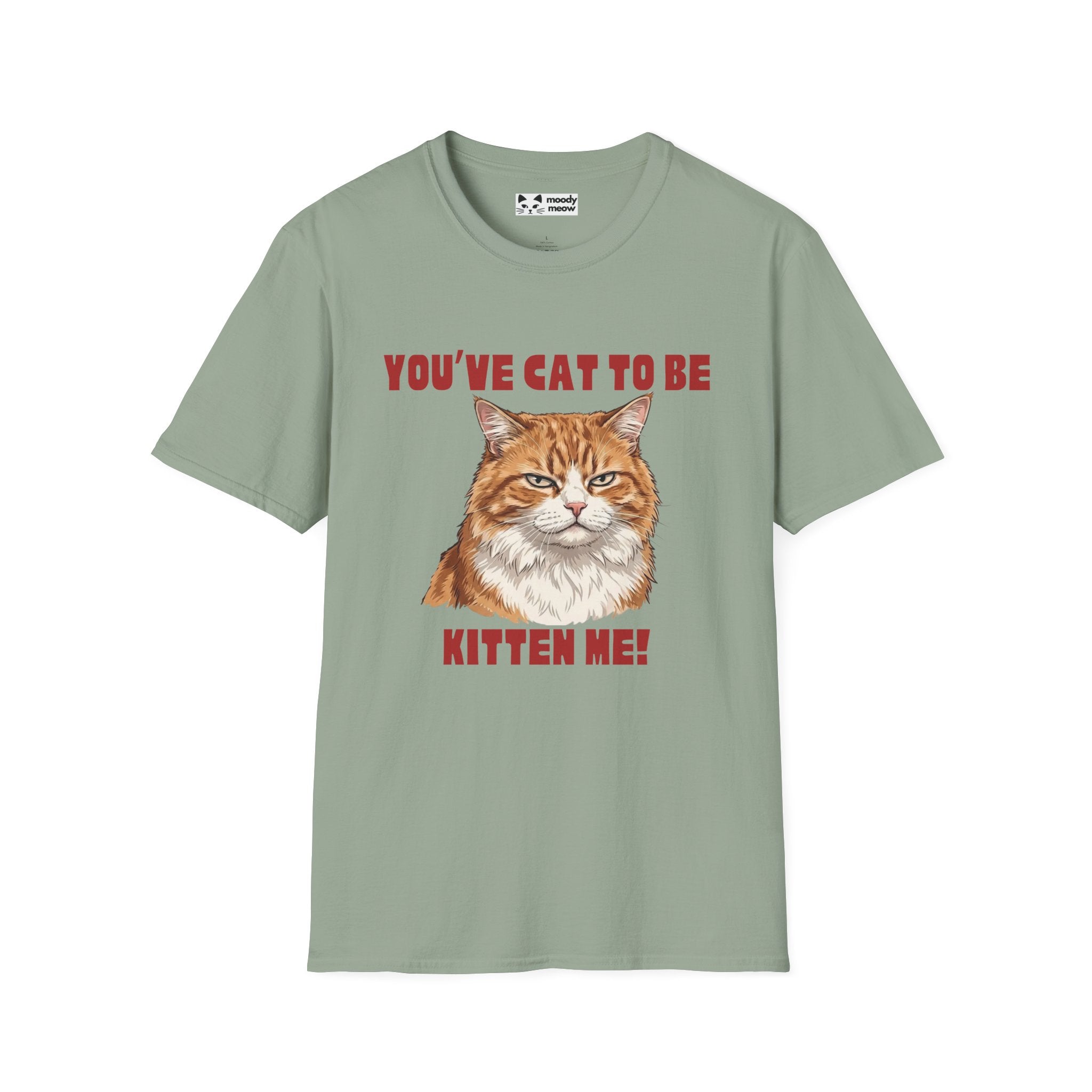 You've Cat To Be Kitten Me Cat T-Shirt